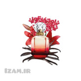 عطر ادکلن روبرتو کاوالی پارادایسو اسولوتو | اورجینال